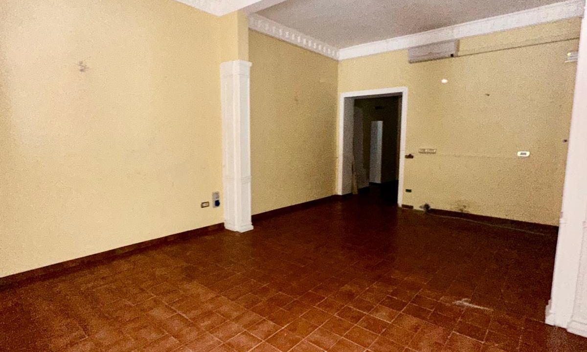 WhatsApp Image 2025-03-07 at 17.45.30-5